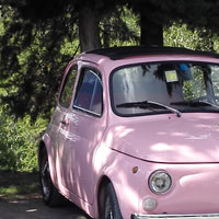 Vintage FIat 500 tour Florence: Isabella from our fleet 6