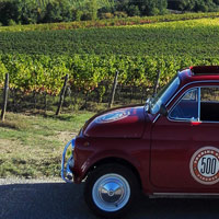 Vintage Fiat 500 tours and hire, Our Fleet: Paola 6